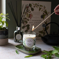 Vela Natural Perfumada Verbena Chispeante