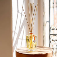 Gran Mikado Perfumado Ambar Precioso