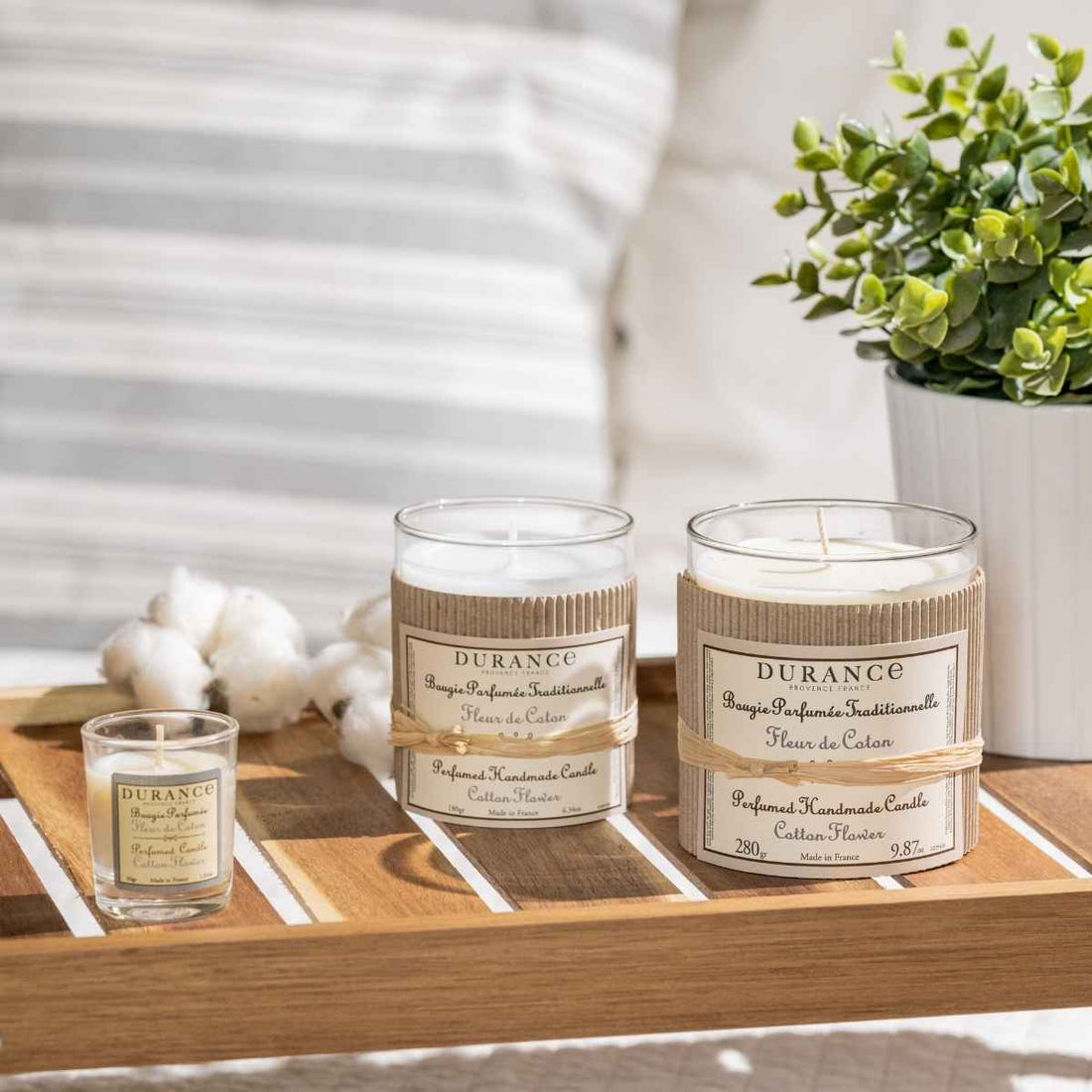 Vela Perfumada Grande Flor de Algodón